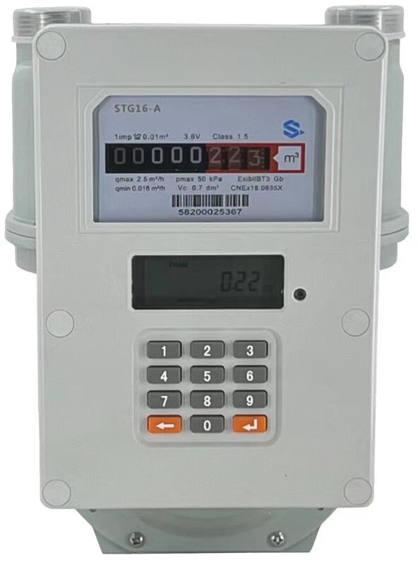 Measurement Range 0-9999 M³ LoraWan Smart Gas Meter Using LoRaWAN Communication Mode for Industrial Gas Usage Monitoring