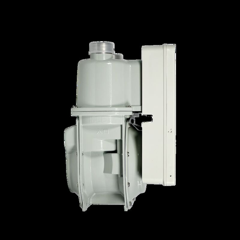 Đồng hồ đo khí kỹ thuật số thông minh STS trả trước LORAWAN G1.6/G2.5/G4.0 Đồng hồ đo khí dọc với Lora