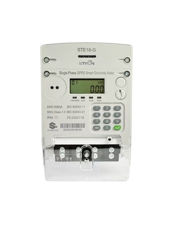 STS Prepaid Keypad Smart Electricity Meter with GPRS/4G Communication, Class 1.0 Accuracy, and IP54 Waterproof Rating