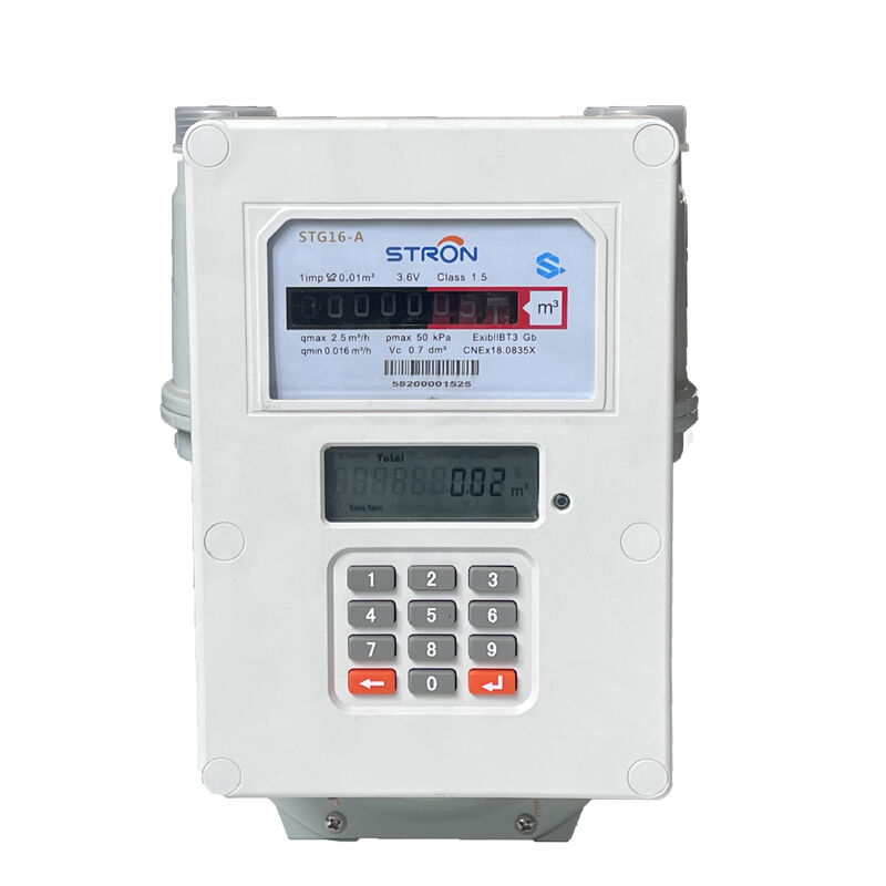 STS Prepaid Gas Meter G1.6/G2.5 Size with IP67 Waterproof and Vending Management System