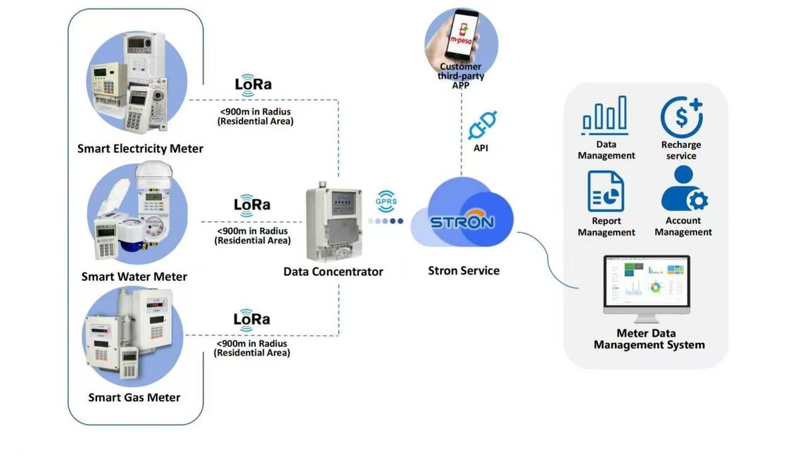 STW36-M Waltman Đồng hồ nước trả trước tích hợp cao IOT Đồng hồ nước thông minh Cung cấp dải đo 0-999999 Lít Thích hợp cho quản lý nước tại các cơ sở quy mô lớn