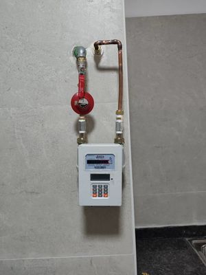 G1.6 Domestic Prepaid Gas Meter with Valve Control 0.5-10 Bar